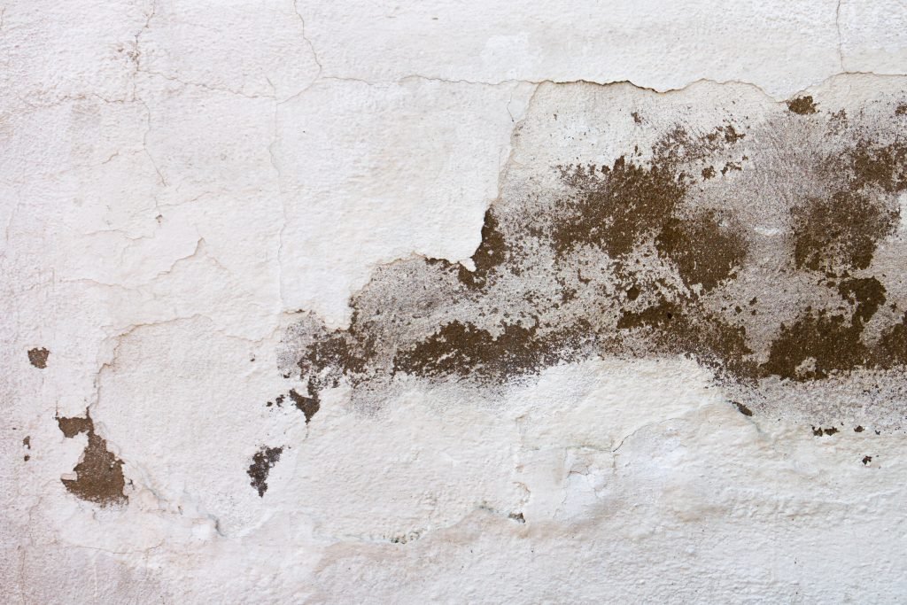 damaged-white-wall-texture